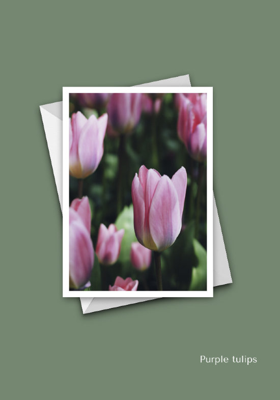 Открытка Лиловые тюльпаны