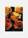 Постер Оранжевые тюльпаны