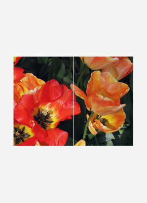 Постеры Оранжевые тюльпаны диптих
